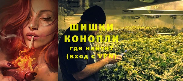 прущие крисы Каменногорск