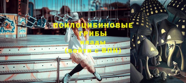 прущие крисы Каменногорск