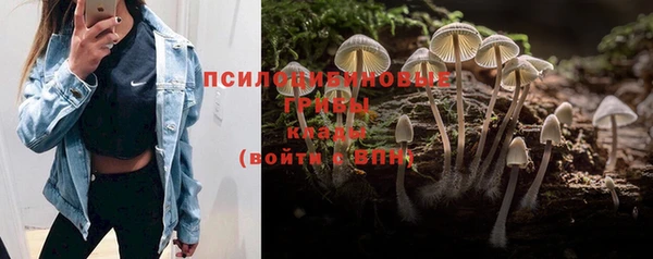 MDMA Premium VHQ Каменка
