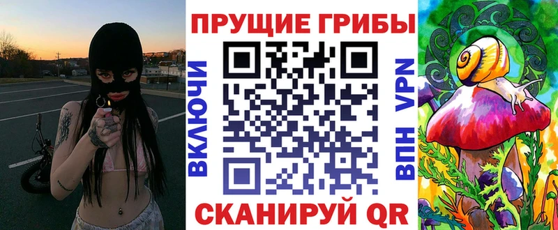 Галлюциногенные грибы Psilocybe  Шуя 